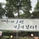 전주밥상 | 남양주 서종 한식 맛집, 반찬까지 맛있는 전주밥상