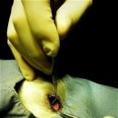 건국동물병원 이미지