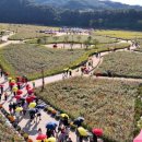 산소카폐 청송정원 (1) 이미지