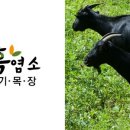 두미목장 이미지