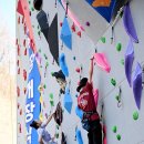 인공암벽장 이미지