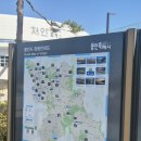 푸바오애견 - 동구 계족로469번길 4 | 푸바오애견