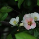 강과바다의 탑 이미지