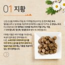 최한의원 이미지