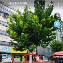 두드림휘트니스 이미지