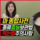 마 이렇게 먹어야 약이 됩니다. 마에 대한 모든 것, 마 바로알기, 마 보관법 이미지