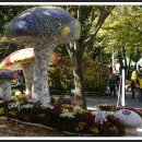 국화축제장 입구 이미지