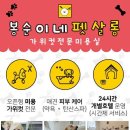 봉순이네 펫살롱 이미지