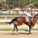 청수파크 이미지