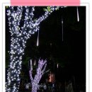 대전엑스포시민광장 이미지