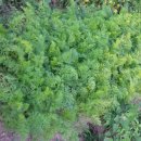 영찬농장 이미지