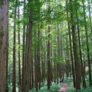 화인정비 이미지