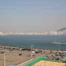 꿈바라기 이미지