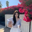 리즈샵