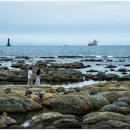 포항시남구8 이미지