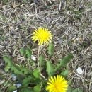 밤골가든 이미지