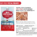 캣챱