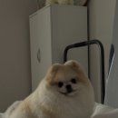 허그멍 이미지