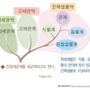 대한미역 네이버블로그