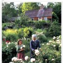 타샤의 아침 이미지