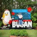 야움 | [부산 갈만한 곳] 태종대 고양이 - 다누비열차 - 해녀촌 후기