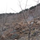 최윤기 농장 이미지