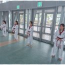 기품있는 태권도장 이미지