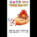 포토그라프 이미지