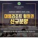 메이플 풀빌라 | 대명콘도회원권가격 알아본 후기!!