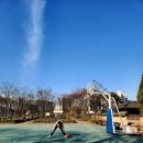 개나리공원 농구장 이미지