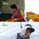 영완농장 이미지