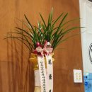 강프로공인중개사사무소 이미지