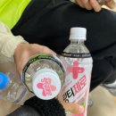 북전주모터스 | 250506 전북현대모터스 홈경기 게이트 검표 일일 아르바이트 후기