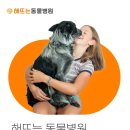 해뜨는 동물병원 이미지