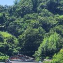 마하공인중개사사무소 이미지