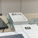 데이지꼼 | 왕감자는 체력 거지, 실제로도 거지다.