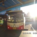 천일여객 영산정류소 이미지