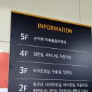 손덕희마취통증의학과의원 이미지