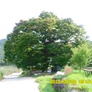 신전2리경로당 이미지