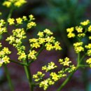 행복한시간 이미지