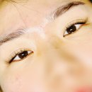 래쉬또비