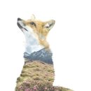 아름다운동물병원 이미지