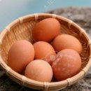 시골마당 이미지