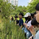 구파발천 신도초등학교 하천생태수업1 _ 20230515 (박래현, 김현숙) 이미지