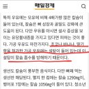 국제안감
