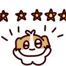 거북애견 이미지