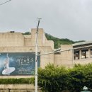 유니버설발레단 <호두까기인형 갈라> | [무용공연후기] 250719 2025 예술의전당 &amp; 유니버설발레단 <백조의 호수>