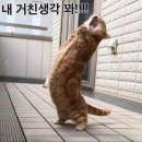 아니 - 강남구 삼성로145길 11-6 | 아니