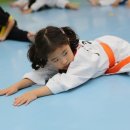 국가대표 스타클래스 태권도장 이미지