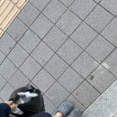 목천약국 이미지